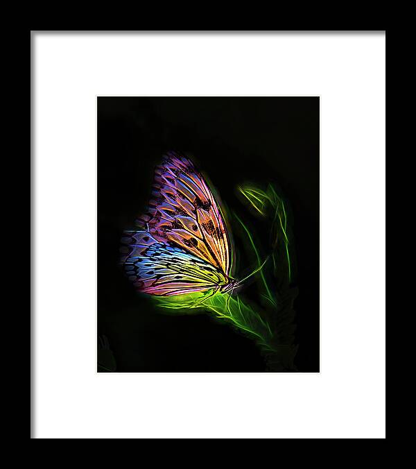 Fantasy Framed Print featuring the digital art Butterfly Fantasy 2a by Walter Herrit
