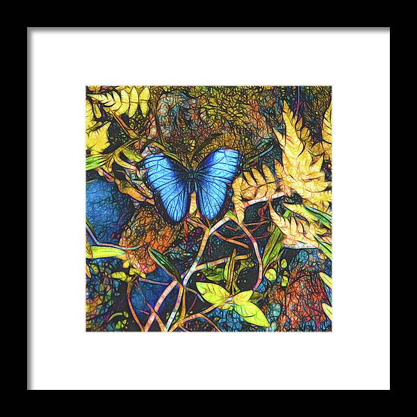 Nature Framed Print featuring the photograph Butterfly Love by Rochelle Berman