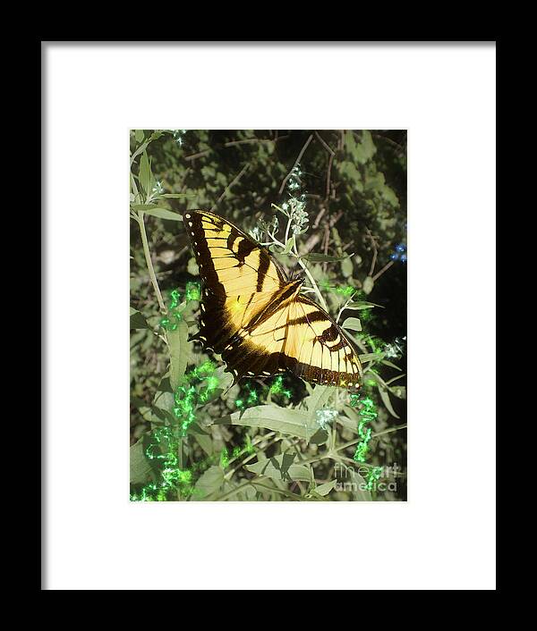 Eastern Tiger Swallowtail Framed Print featuring the photograph Butterfly Magic by Nicole Angell