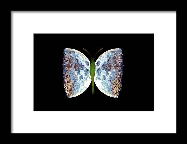 Butterfly Framed Print featuring the photograph Fly me to the Moon by Jackson Pearson