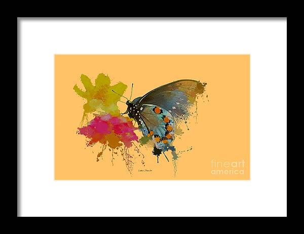 Nature Framed Print featuring the photograph Butterfly on Lantana - Splatter Paint Tee Shirt Design by Debbie Portwood