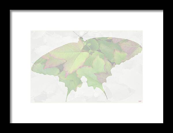 Butterfly Petal Mate Framed Print featuring the mixed media Butterfly Petal Mate by Debra   Vatalaro