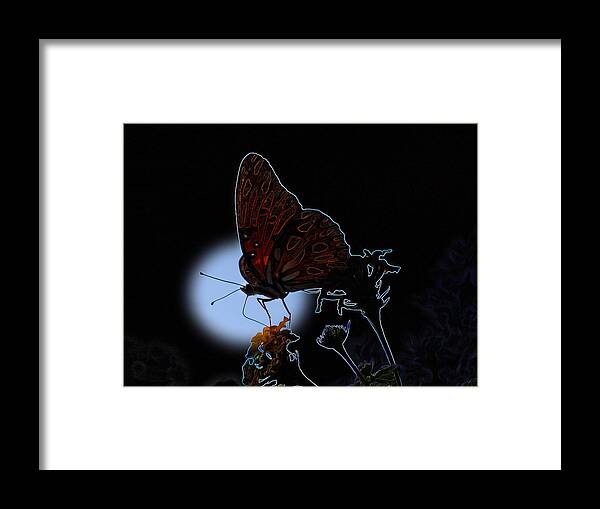 Butterfly Framed Print featuring the photograph Butterfly by Rick McKinney