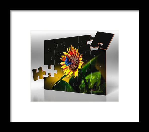 American Framed Print featuring the photograph Butterflys-N-Flowers Puzzle by Doug Long