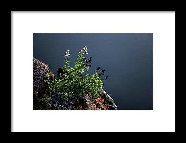Beautiful Framed Print featuring the photograph By The Edge by Peter Scott