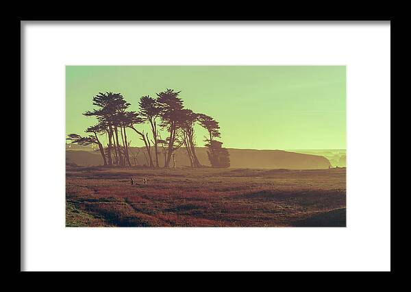 Mendocino Framed Print featuring the photograph California Glow by Nisah Cheatham