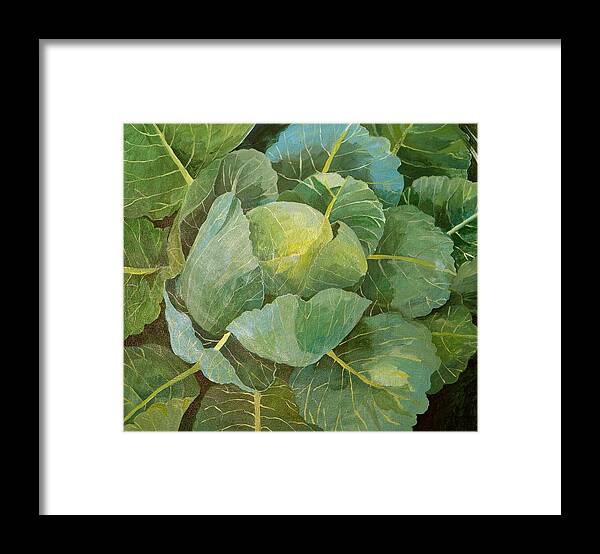Cabbage Framed Print featuring the painting Cabbage by Jennifer Abbot