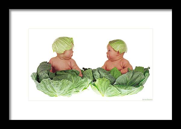 Baby Framed Print featuring the photograph Cabbage Kids by Anne Geddes