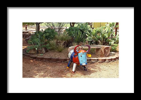 Luckenbach Framed Print featuring the photograph Cacti Garden at Wildseed Farms by Suzanne Theis