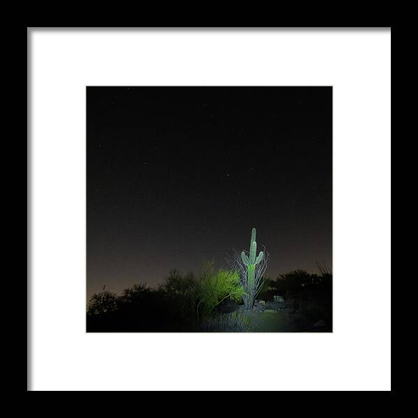 Orcinusfotograffy Framed Print featuring the photograph Cactus And Stars by Kimo Fernandez