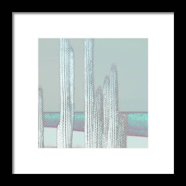 Digital Art Framed Print featuring the digital art Cactus-blues by Suzanne Carter