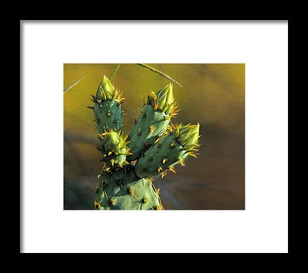 Arizona Framed Print featuring the photograph Cactus Buds op52 by Mark Myhaver