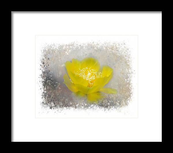 Floral Framed Print featuring the photograph Cactus Flower by Judy Hall-Folde