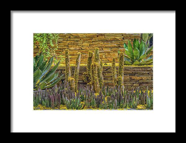 Cactus Framed Print featuring the photograph Cactus Garden 5861-041118-1cr by Tam Ryan