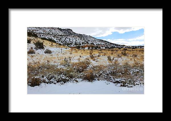 Southwest Landscape Framed Print featuring the photograph Cactus in the snow by Robert WK Clark