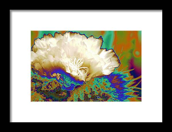 Abstract Cactus Flower Framed Print featuring the photograph Cactus Moon Flower by Andrea Lazar
