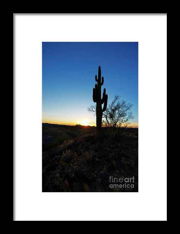 Cactus Framed Print featuring the photograph Cactus Silhouette Vertical by David Arment