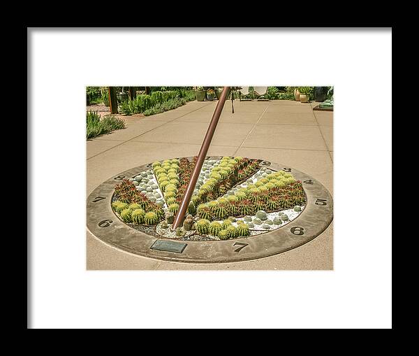 Cactus Framed Print featuring the photograph Cactus sundial by Darrell Foster
