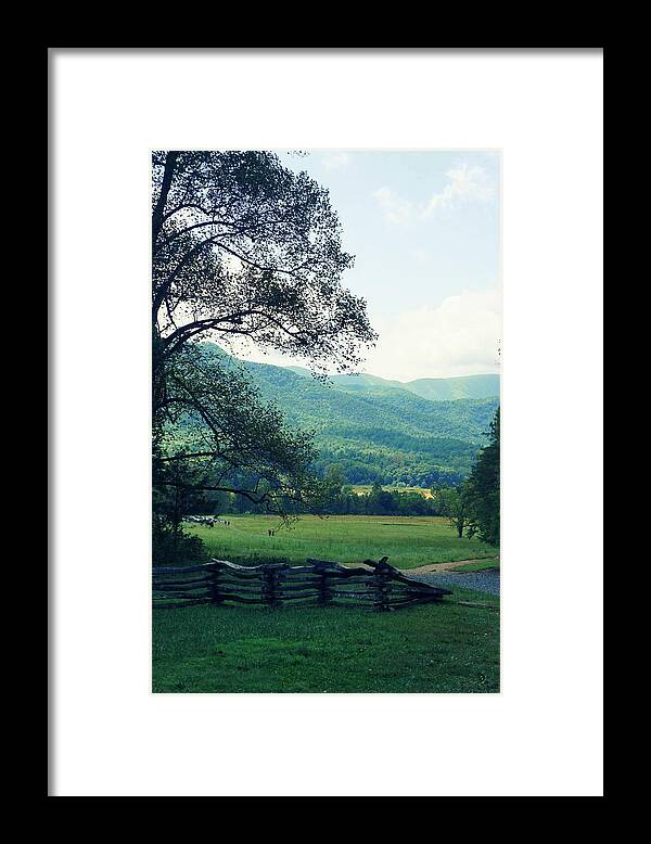 Cades Cove Framed Print featuring the photograph Cades Cabin View by Laurie Perry