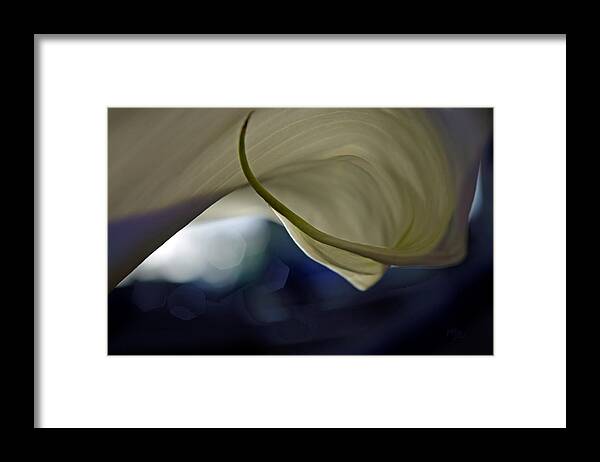 Adria Trail Framed Print featuring the photograph Cala Lily Curl by Adria Trail