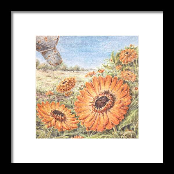 Orange Framed Print featuring the drawing Calendula Blooms by Pris Hardy