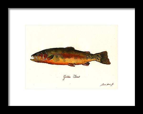California Golden Trout Framed Print featuring the painting California golden trout fish by Juan Bosco