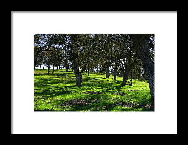 Ribet Framed Print featuring the photograph California Oak Woodland with Dappled Sunlight by C Ribet