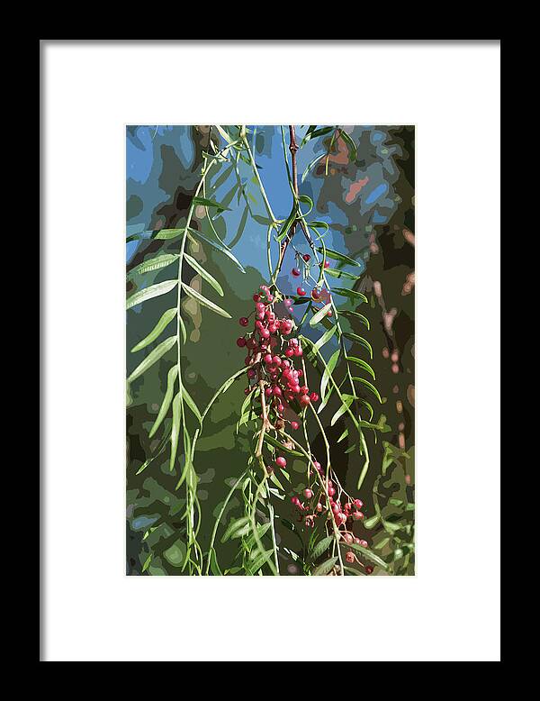 Linda Brody Framed Print featuring the digital art California Pepper Tree Leaves Berries Abstract by Linda Brody