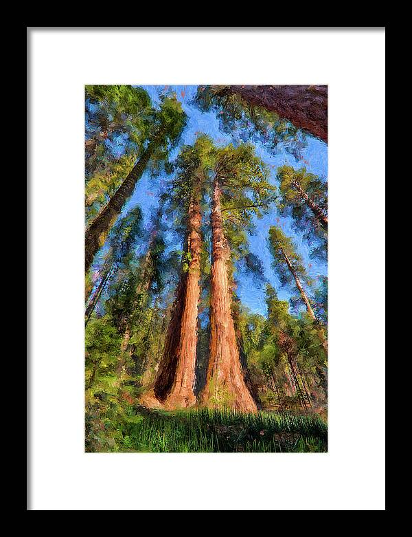 Redwood Framed Print featuring the painting California Redwood and Sequoia Trees AP by Dan Carmichael