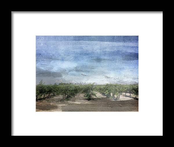 Landscape Framed Print featuring the mixed media California Vineyard- Art by Linda Woods by Linda Woods