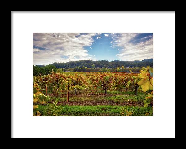 Sonoma Framed Print featuring the photograph California Wine County - Sonoma Vineyard by Jennifer Rondinelli Reilly - Fine Art Photography