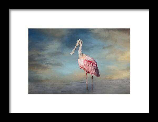Roseate Spoonbill Framed Print featuring the photograph Call Me Rosy by Kim Hojnacki