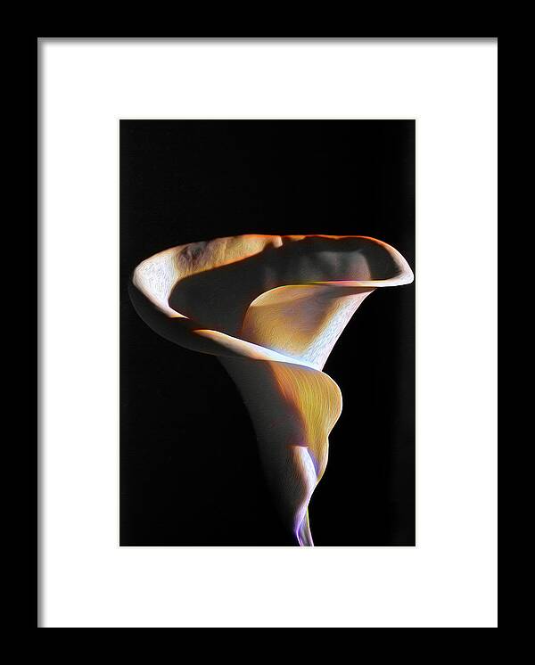 Calla Lily Framed Print featuring the photograph Calla Lily Dreams by Joe Schofield