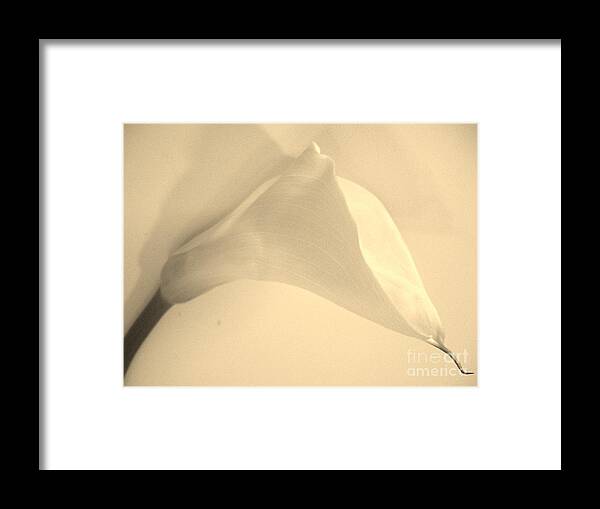 Photo Framed Print featuring the photograph Calla Lily in Sepia by Marsha Heiken