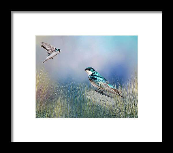 Songbird Framed Print featuring the photograph Calling His Mate by Cathy Kovarik