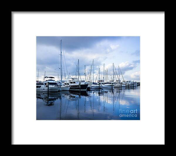 Manatee County Framed Print featuring the photograph Calm Reflections by Liesl Walsh
