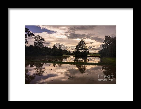 Cambodia Framed Print featuring the photograph Cambodia Rice Fields Clouds Reflection by Mike Reid