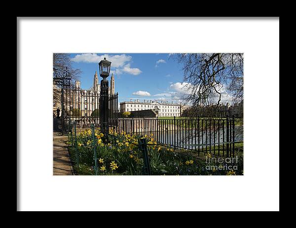 Cambridge Framed Print featuring the photograph Cambridge. End of March. by Elena Perelman