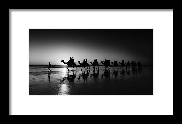 Broome Framed Print featuring the photograph Camels on the beach by Chris Cousins