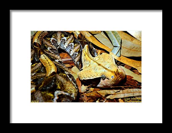 Can You See Me Framed Print featuring the photograph Can You See Me by Lisa Wooten