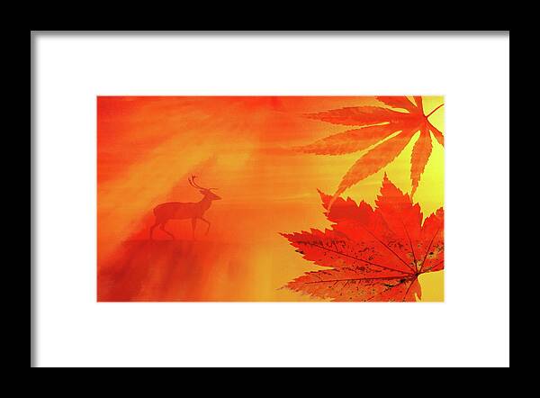 Canada Framed Print featuring the photograph Canada 150 by Andrea Kollo