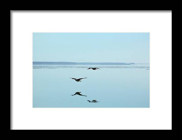 Abstract Framed Print featuring the digital art Canada Geese Flying At Big Bay Point by Lyle Crump