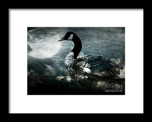 Canadian Blues Framed Print featuring the photograph Canadian Blues by Maria Urso