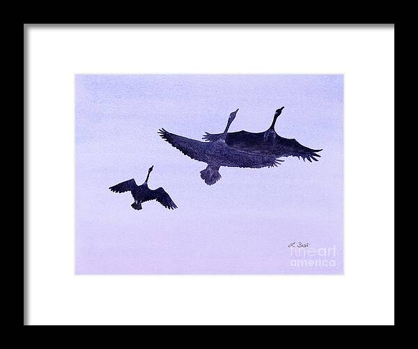 Canada Framed Print featuring the painting Canadian Geese by Laurel Best