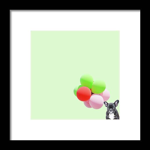 Minimal Framed Print featuring the photograph Candy dog by Caterina Theoharidou