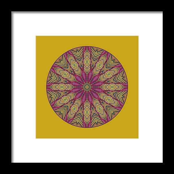 Mandala Framed Print featuring the photograph Canna Leaf - Mandala - Transparent by Nikolyn McDonald