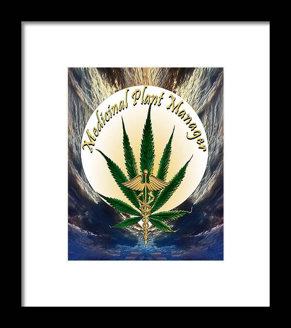 Cannabis Framed Print featuring the photograph Cannabis Medicinal Plant by Michele Avanti