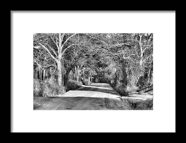 Landscapes Framed Print featuring the photograph Canopy Clay Road by Jan Amiss Photography
