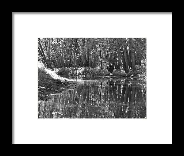 Nature Framed Print featuring the photograph Canton Canoe Trip 2016 27 by George Ramos