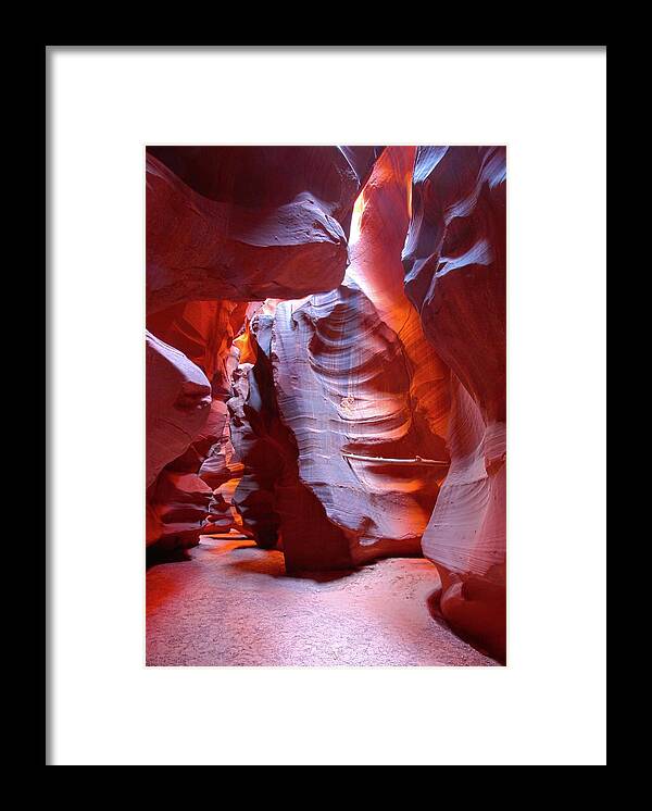 Nature Framed Print featuring the photograph Canyon View by Harold Rau